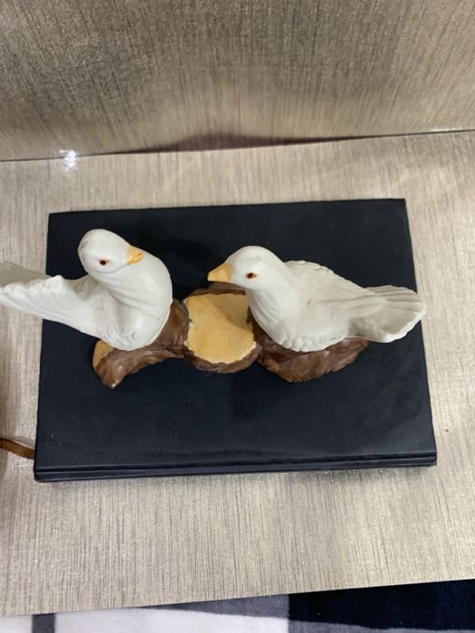 Парочка голубів, голуби