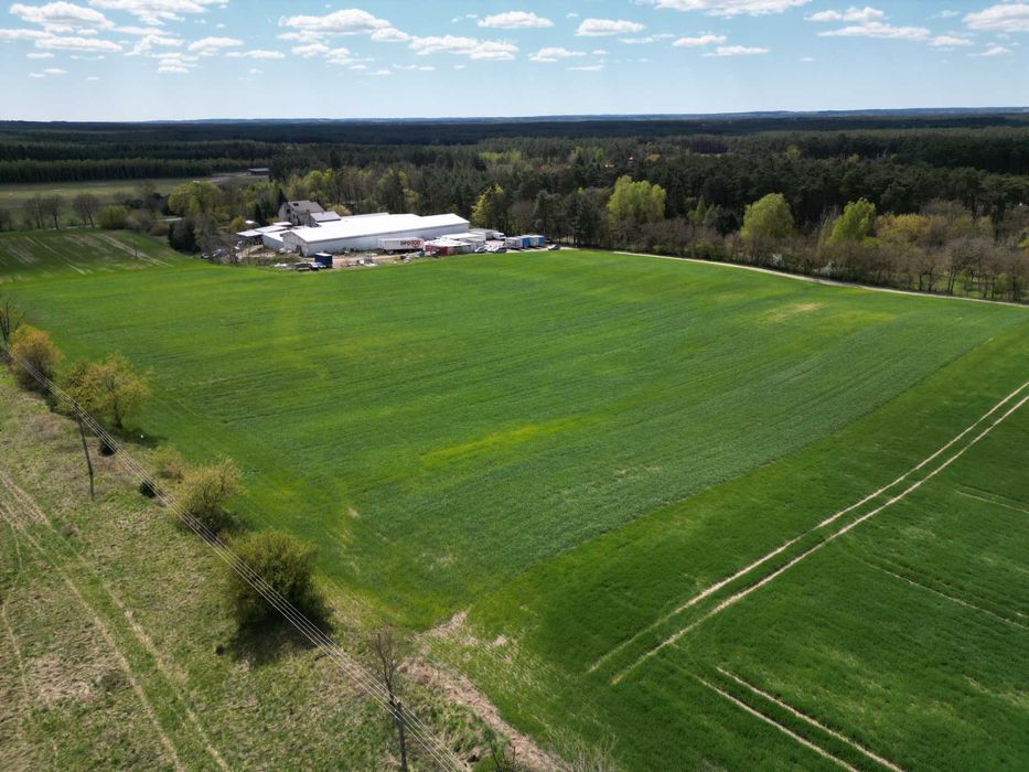 Działka z WZ przy lesie Rogoziniec 66-210 | inwestycyjna / budowa 7 913 m² + 17 600 m²