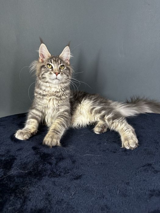 Дівчинка блакитний мармур