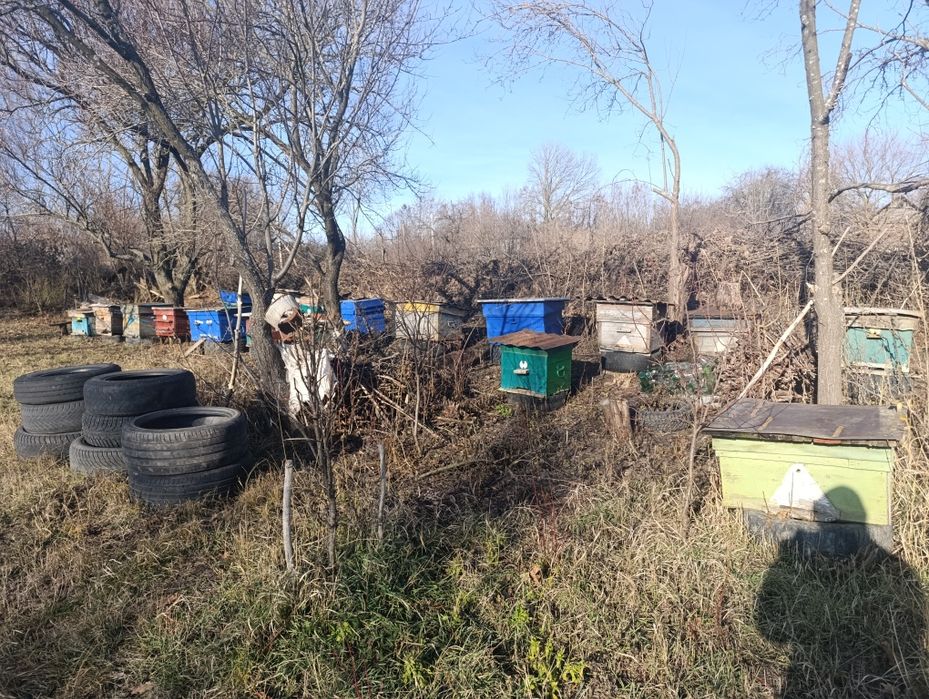 Продам вулики без бджіл