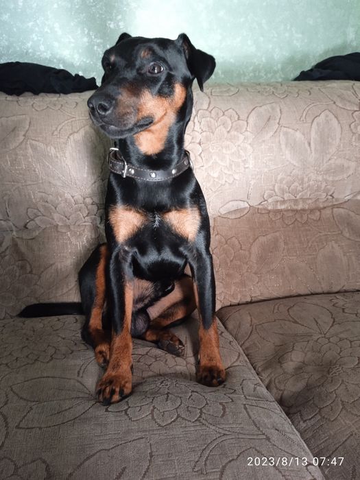 Шукаю пару для душі.