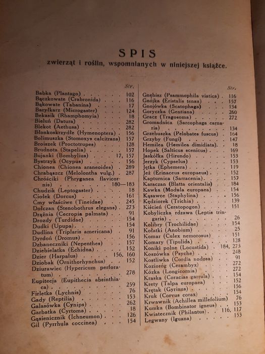 Erazm Majewski Doktor Muchołapski