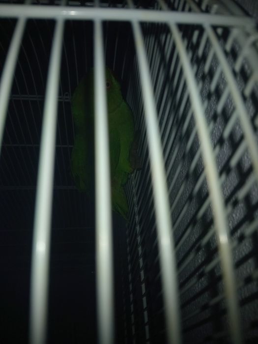 Troco ,ou vendo ,..por um bom preço