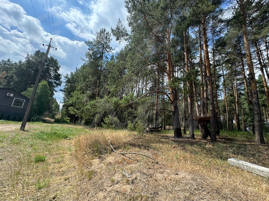 Продам НАЙКРАЩІ ділянки в МАЛЬОВНИЧОМУ місці, 27соток ,с.Проців, ЛІС