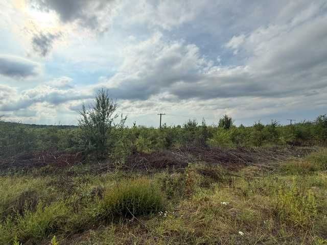 Земельна ділянка під забудову 20 соток. Золочівський район, Львівська область