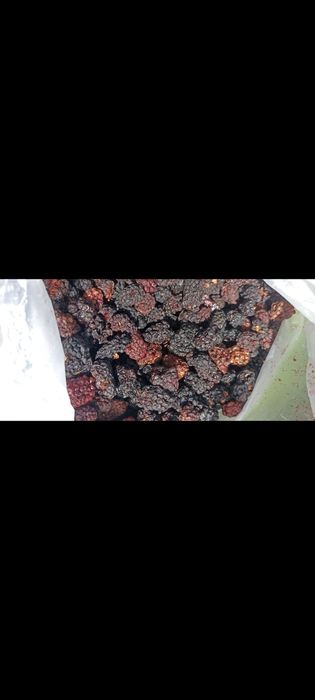 Сушеная  Клубника  ,Сушена Полуниця ,Малина ,Чипсы Клубники ,Ягоды