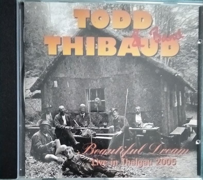 Todd Thibaud - zestaw 3 albumy CD (modern rock)