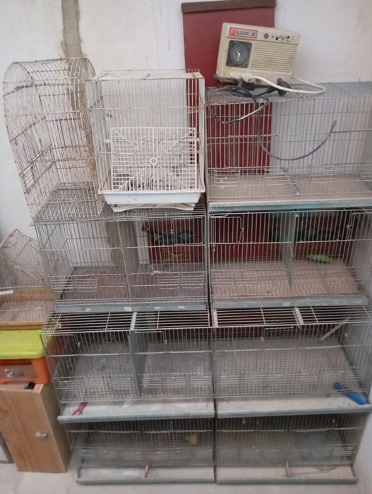 Gaiolas e viveiros para pássaros