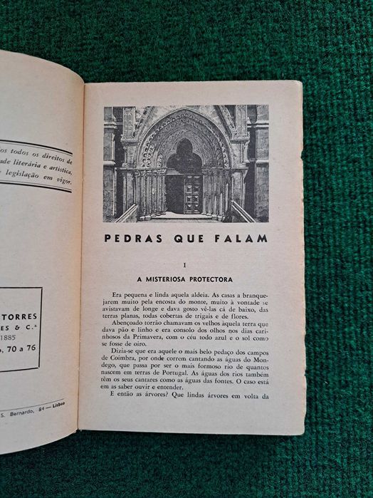 Pedras que falam - António Campos Júnior