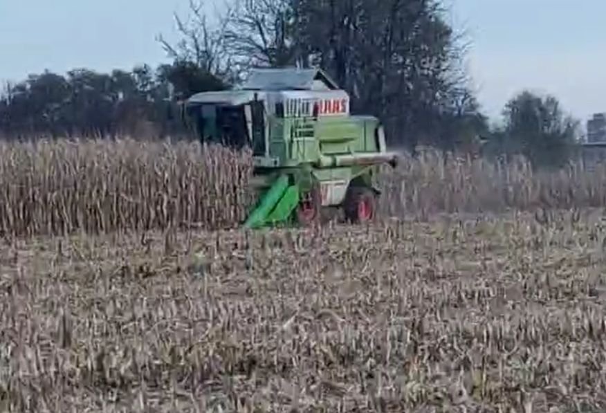 Przystawka do kukurydzy claas 6x75