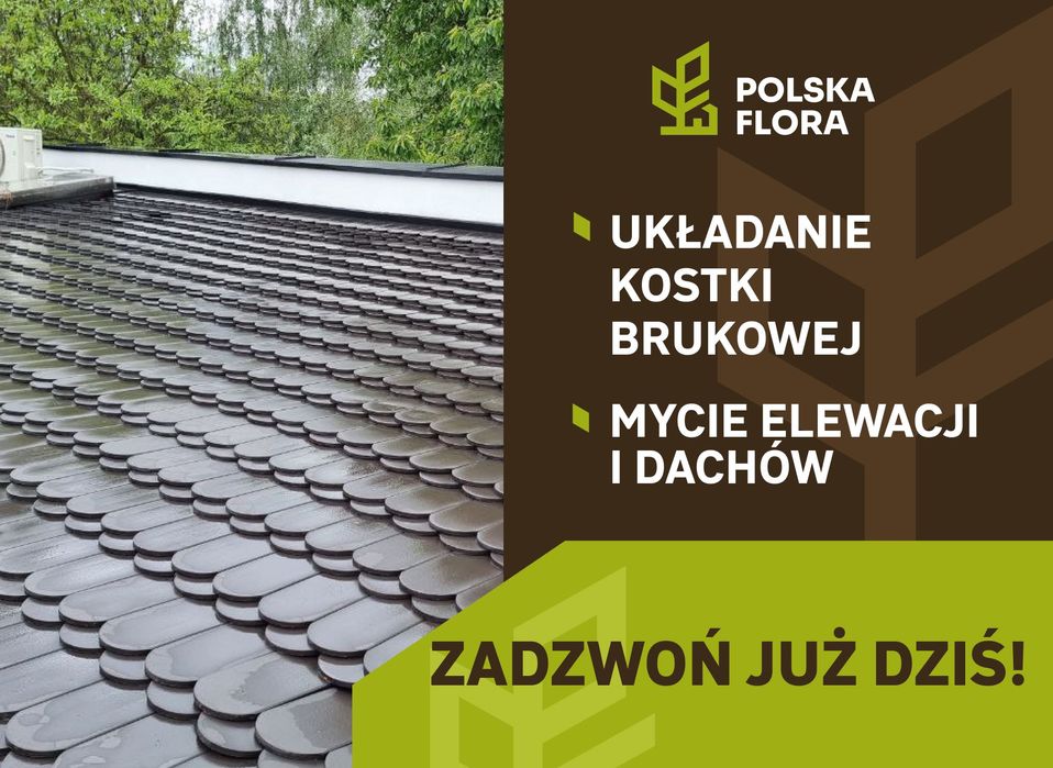 Mycie kostki brukowej, elewacji i dachu. BEZPŁATNA WYCENA