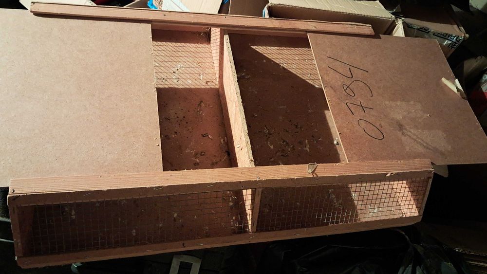 Ring necks para ceder