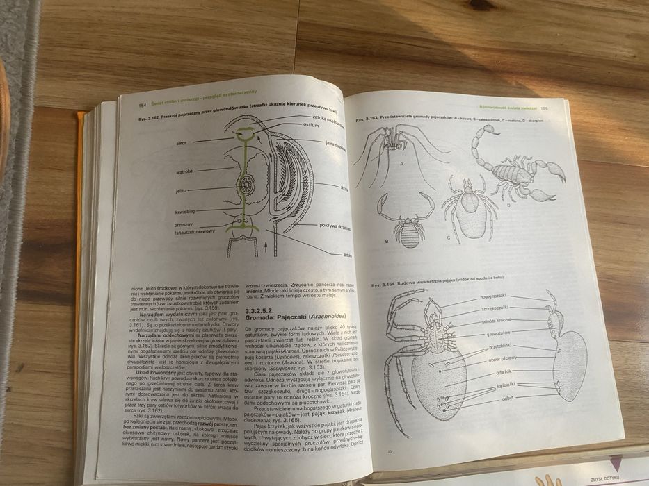 Biologia ze ślimakiem  Czechowski matura repetytorium PWRiL 1989
