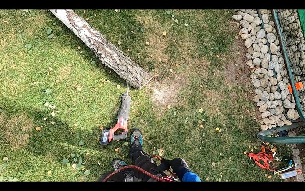 Работы на высоте | Альпинист | Спил деревьев | Монтаж