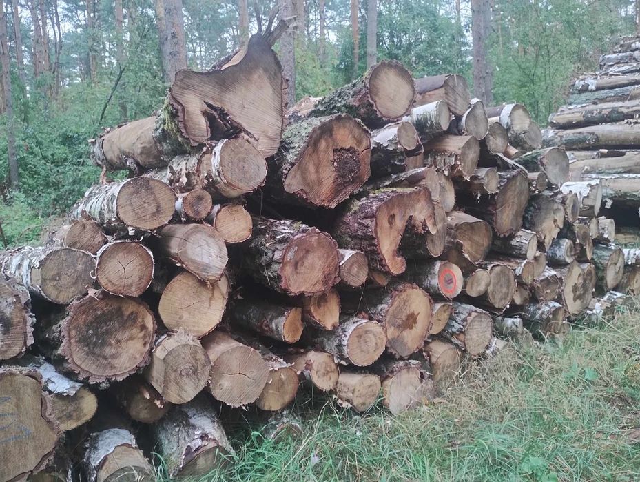 Drewno kominkowe Dębina/ Brzoza