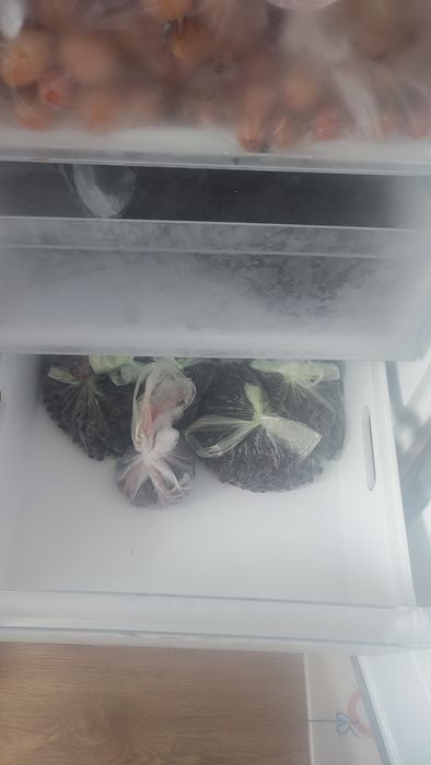 Морозильна камера холодильник Hotpoint Ariston NoFrost