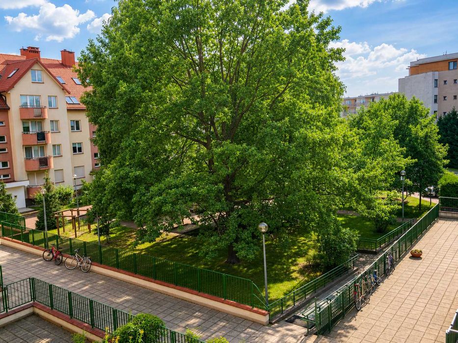 2 pokoje Imielin, Rtm Pileckiego 107 | oddzielna kuchnia | garaż w cenie | bez prowizji - Więcej