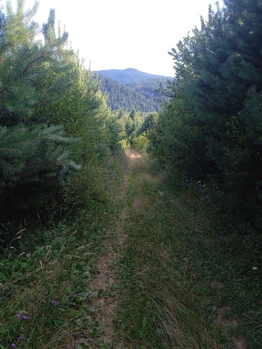 Подобова оре byнда квартири