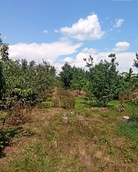 Продам земельну ділянку в с. Блошенці