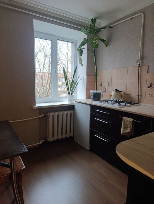 Подобова ,погодинна оренда квартир Звениродка, Водяники