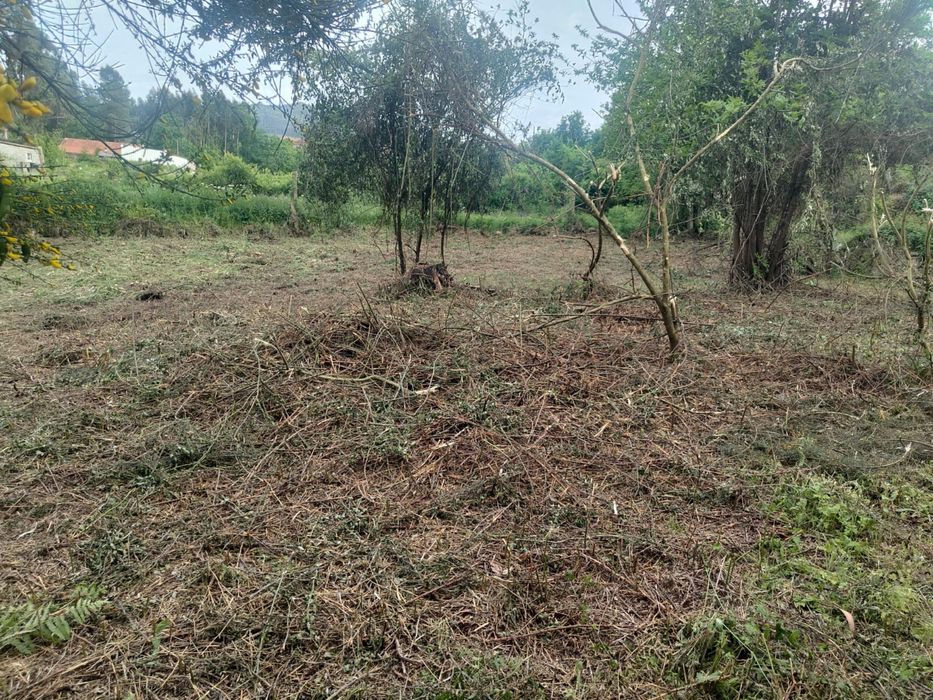 Terreno 1000 m² com construção – São Vicente de Lafões | Perto da A25 | Oportunidade