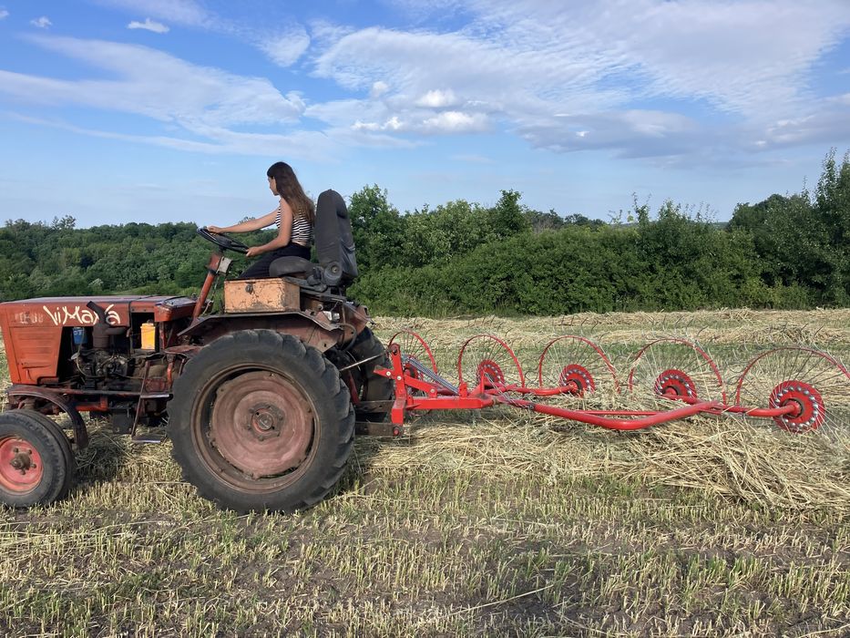 Сіно. Люцерна, овес, різнотравя. Укіс червень 2025