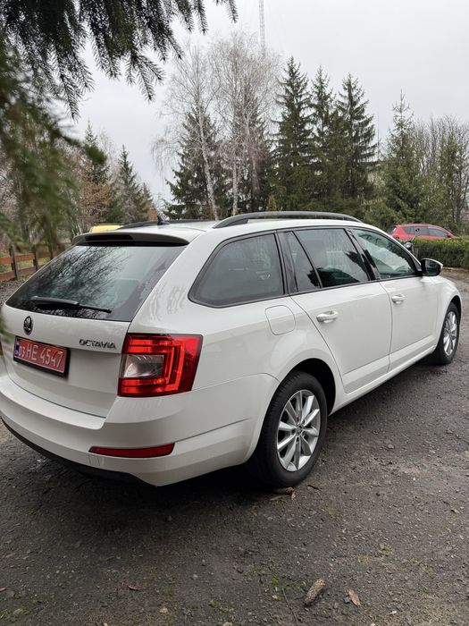 Skoda octavia 7 Шкода октавія а 7
