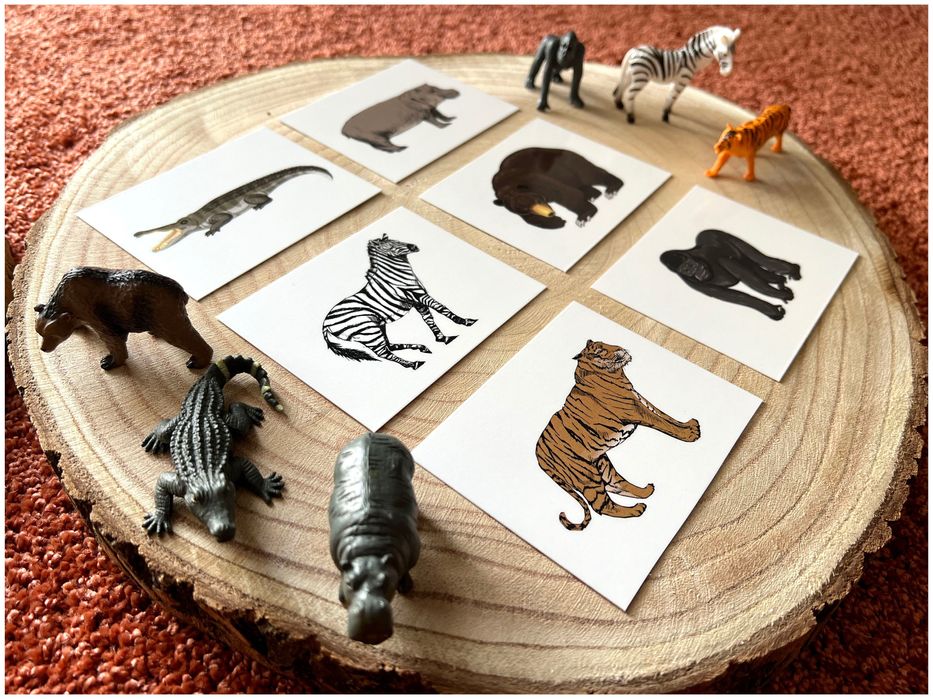 Animais da Selva - Montessori