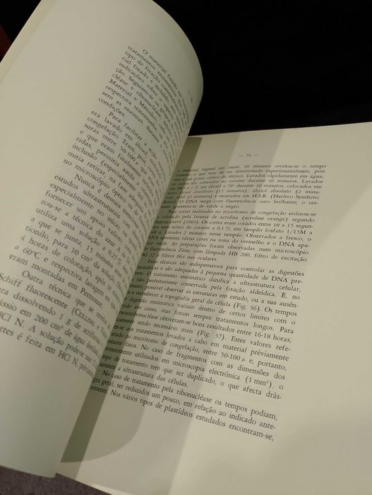 Amido:Estudo Utrastrutural da sua Biogénese em plantas superiores 1968