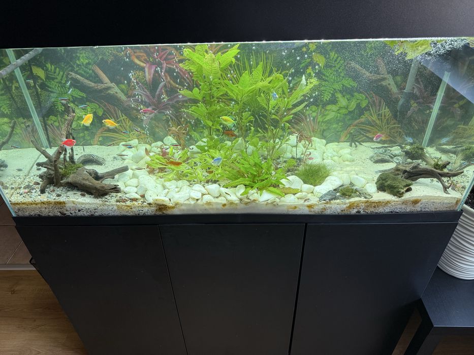Sprzedam akwarium 240L z szafka