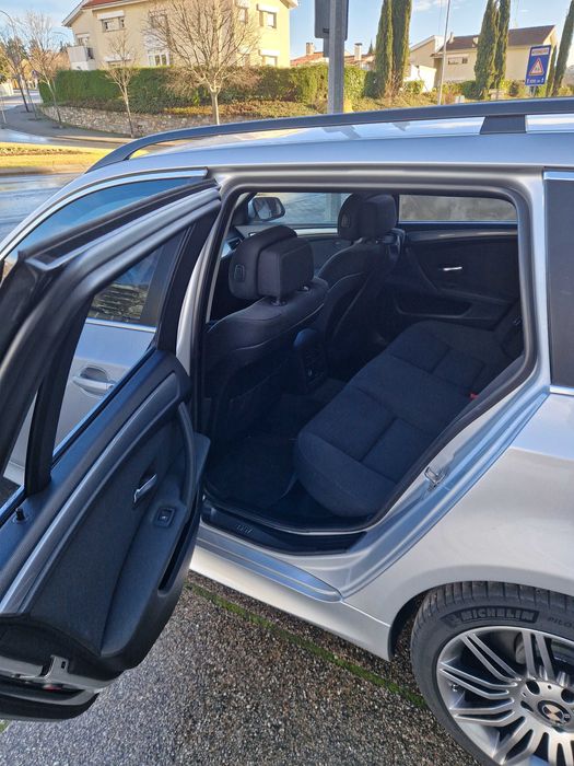 Procuro novo dono que me trate tão bem como este