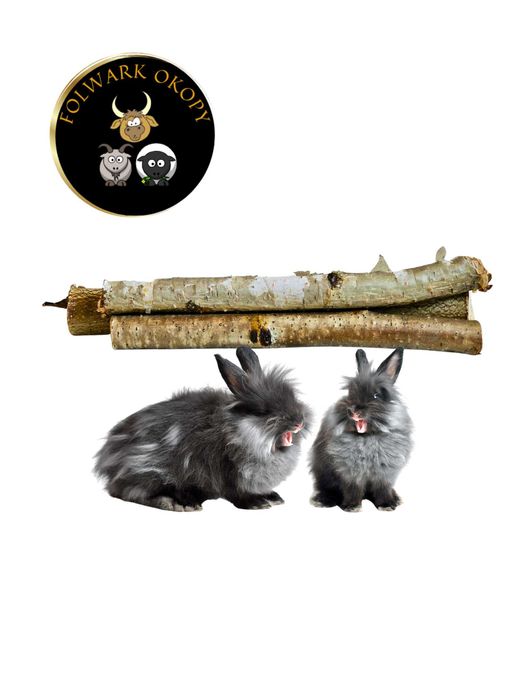 Gałązki brzozy 200g  grube 1,5-3,5 mm do ścierania zębów dla  królików