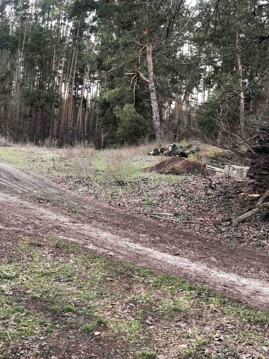 Пропоную до продажу будинок в с. Білозір'я
