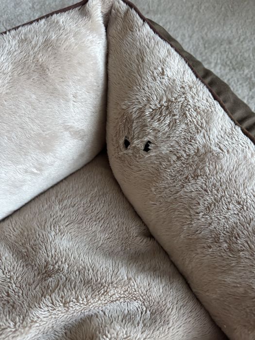 Cama para cao pequeno