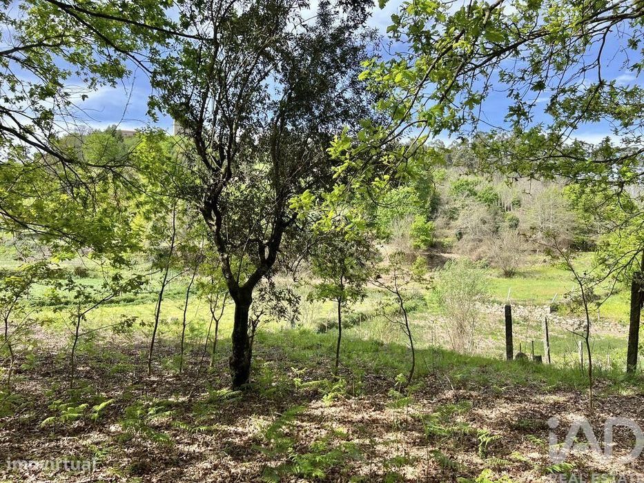 Terreno em Vouzela e Paços de Vilharigues de 26750,00 m2