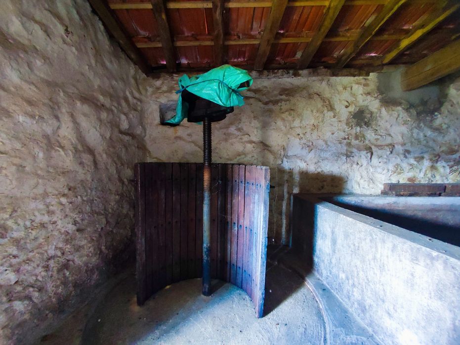 Quinta 7400m2 em Resende com vista para Rio Douro