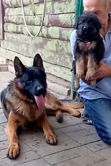 Малыши из питомника.