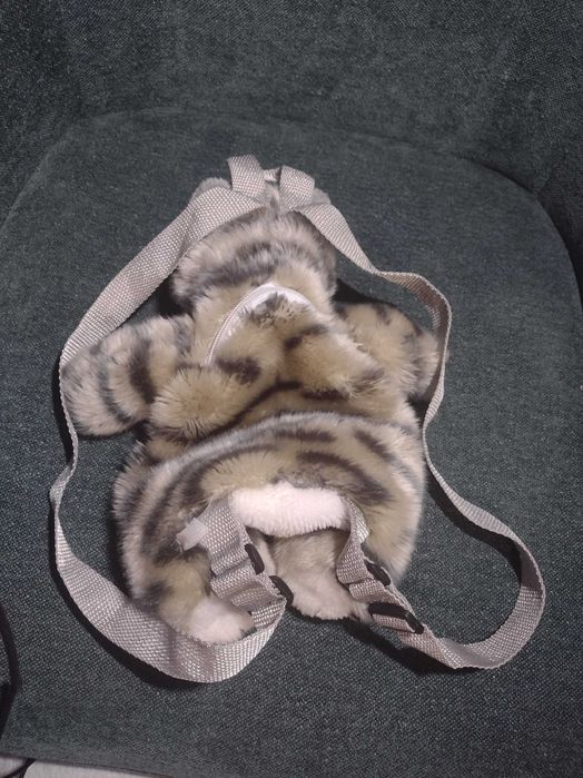 Кіт - рюкзак та кенгуру