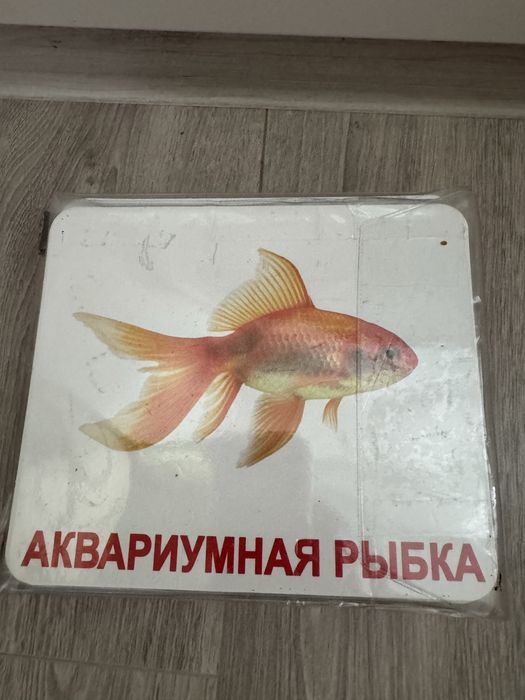 Великі ламіновані карточки домана