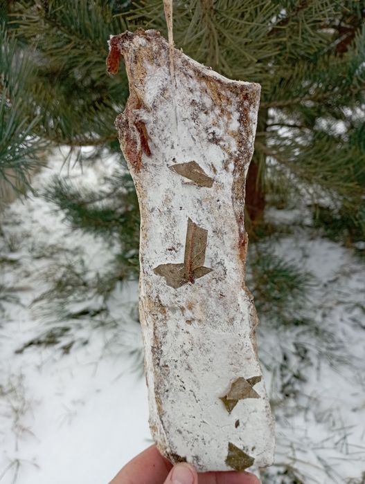 Шовдир поліський