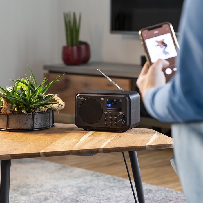 Radio Sieciowo-Bateryjne Dab+, Fm Audizio Milan