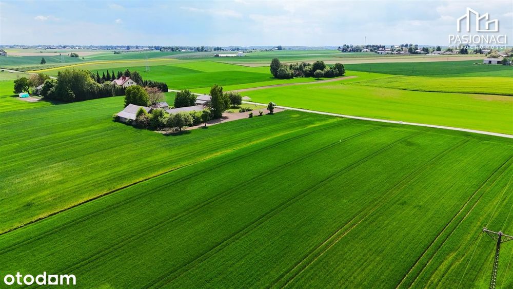 Działka na sprzedaż, Jastków - Widok 5