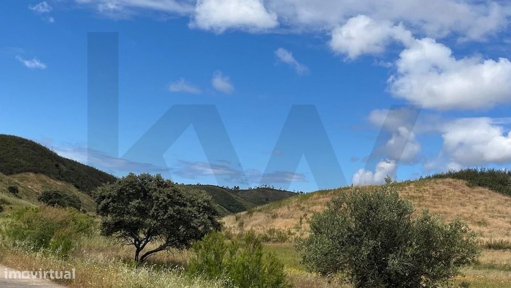 Terreno Rústico de 2,9 ha com Potencial Agrícola e Florestal – Senhora