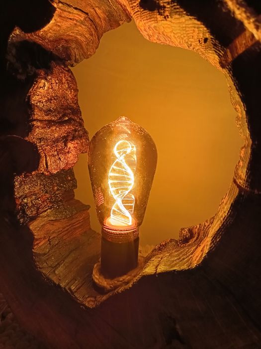 Lampa vintage dębowa