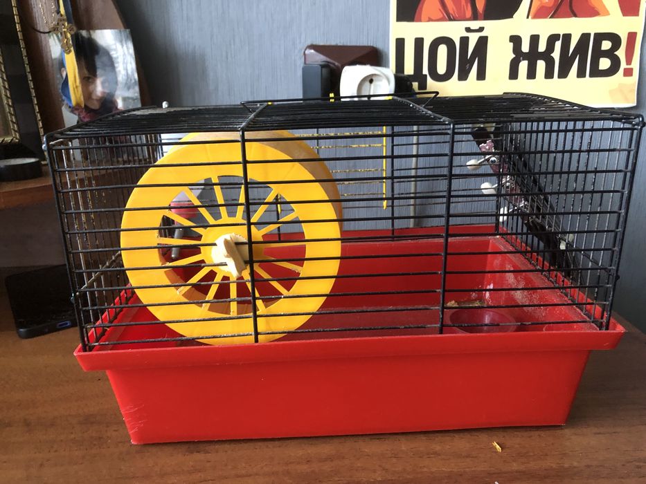 Продам клетку для хомяка