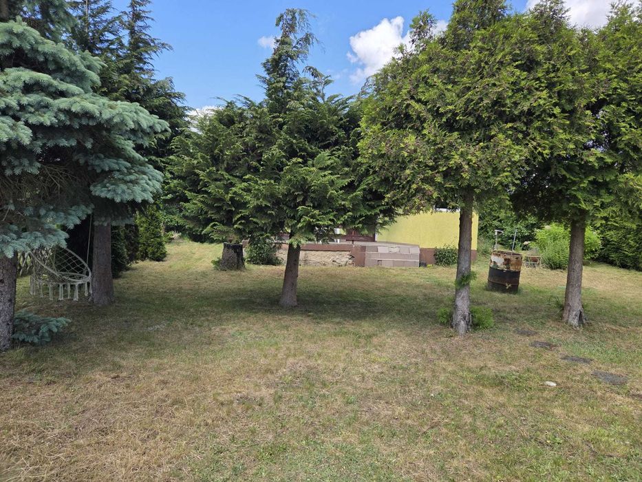 Działka ogrodowa - Widok 2