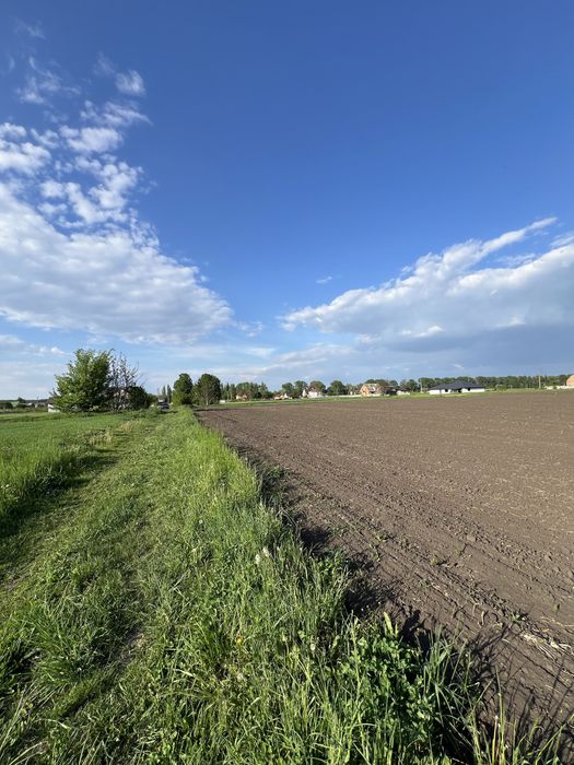 Продаж землі 20 соток, Грузевиця - More