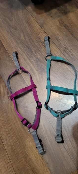 Szelki dla psów małych róż i turkus