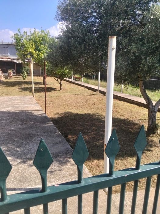 Limpeza de terrenos  a partir 12,50€