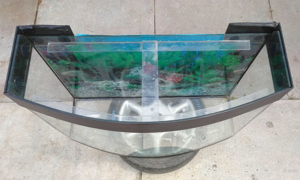 Аквариум, террариум. Читайте описание